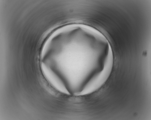 X0000112891051200909181907