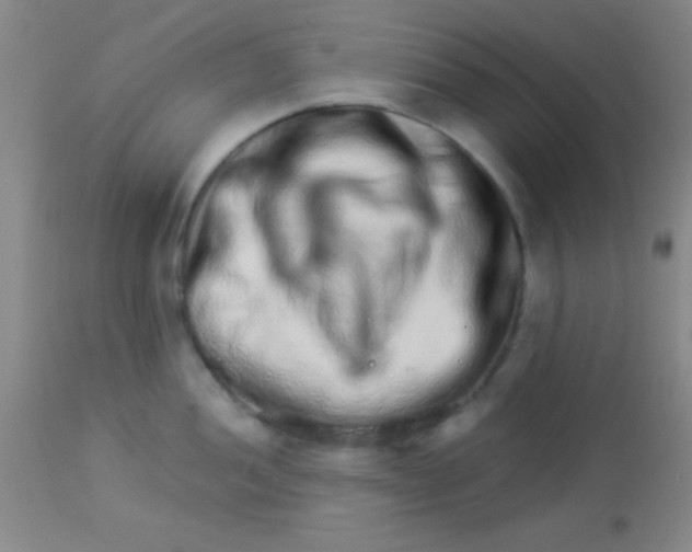 X0000112891052200909181907