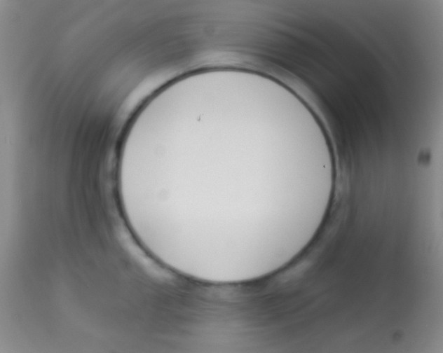 X0000112891053200909181907