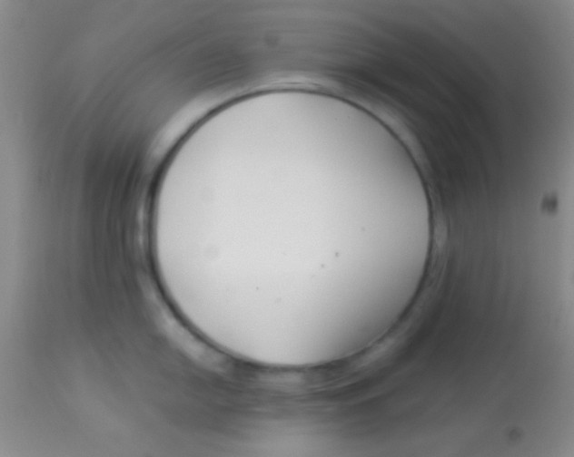 X0000112891054200909181907