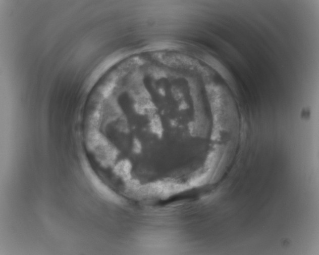 X0000112891055200909181907
