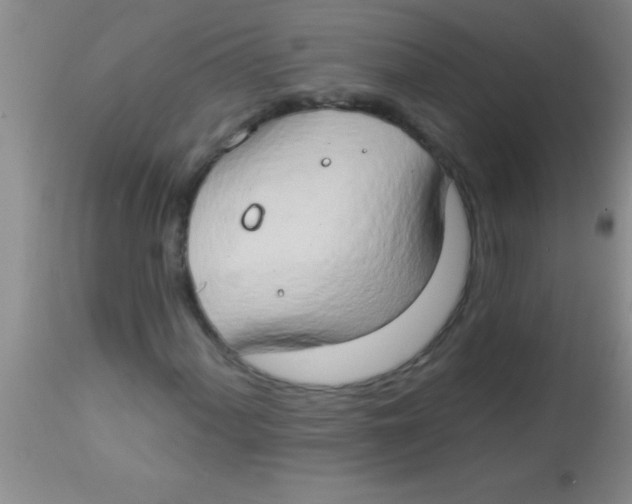 X0000112891060200909181907