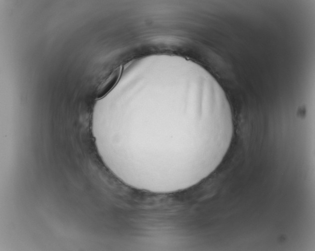 X0000112891061200909181907