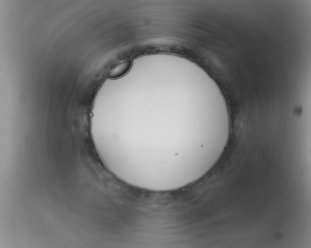X0000112891062200909181907