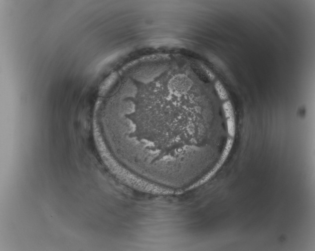 X0000112891063200909181907