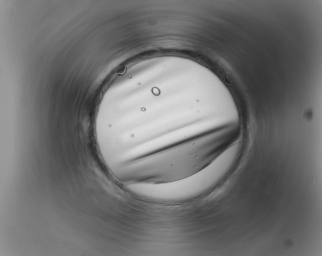 X0000112891065200909181907