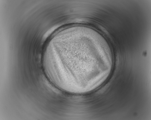X0000112891066200909181907