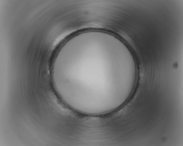 X0000112891070200909181907