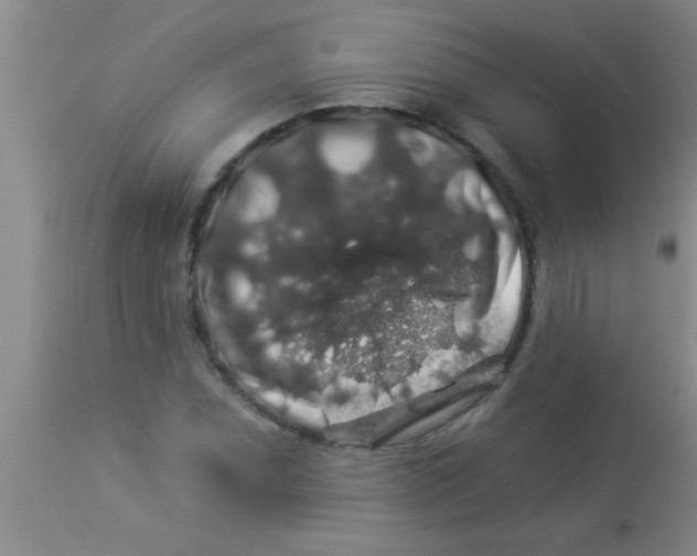 X0000112891071200909181907