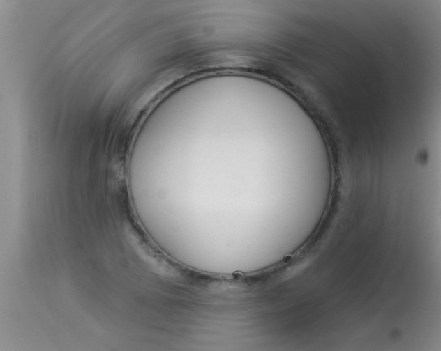 X0000112891073200909181907