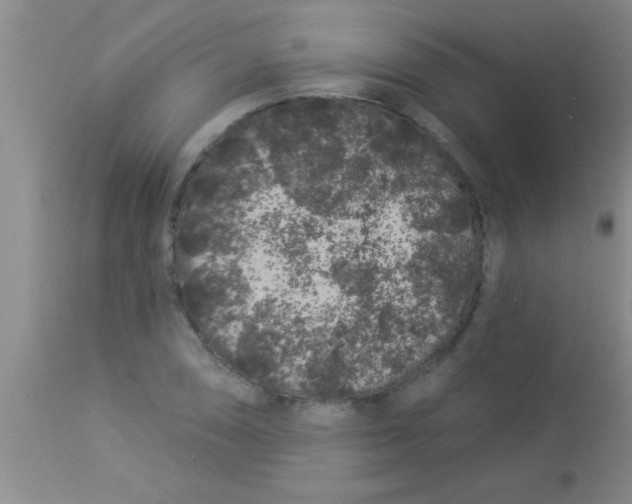 X0000112891074200909181907