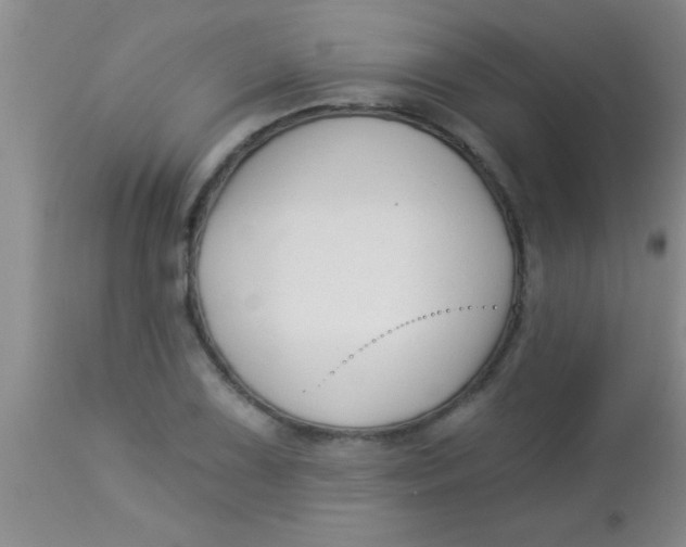 X0000112891075200909181907