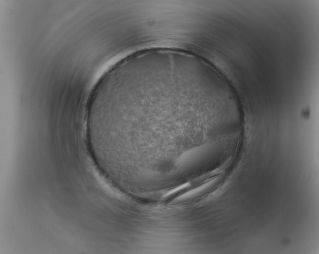 X0000112891077200909181907