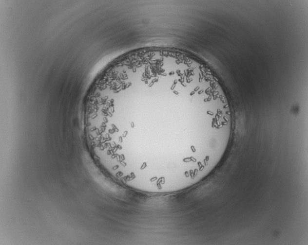 X0000112891078200909181907