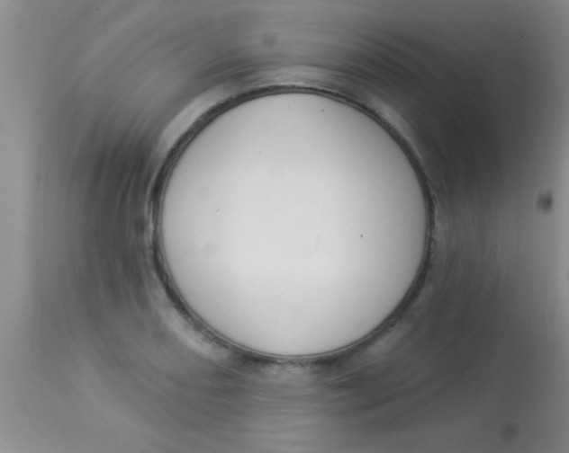 X0000112891082200909181906