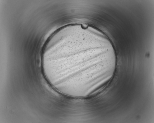 X0000112891083200909181906