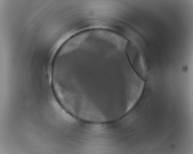 X0000112891084200909181906