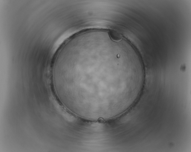 X0000112891085200909181906