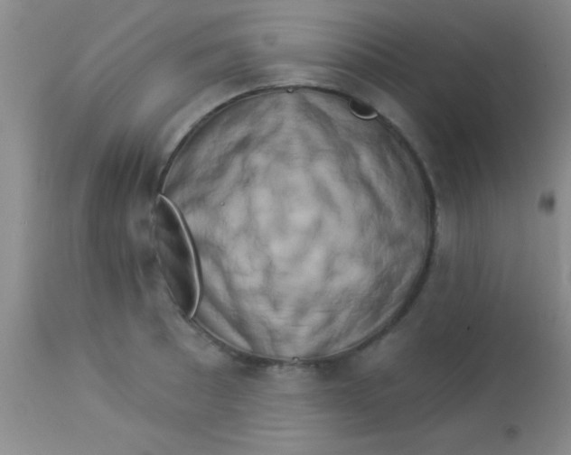 X0000112891089200909181906