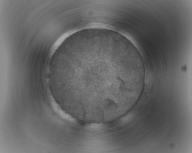 X0000112891094200909181906
