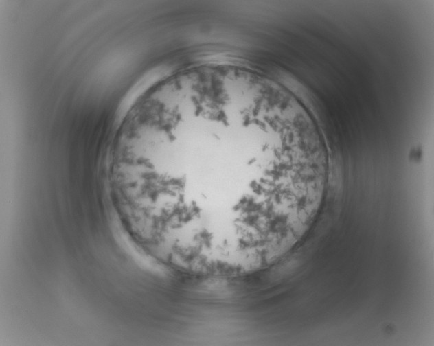 X0000112891098200909181906