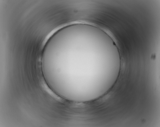 X0000112891100200909181906