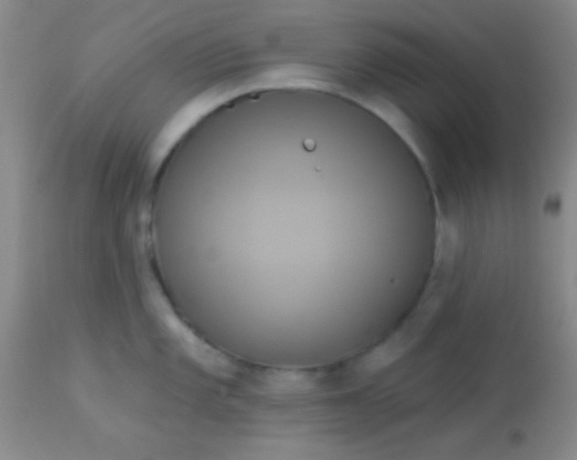 X0000112891101200909181906