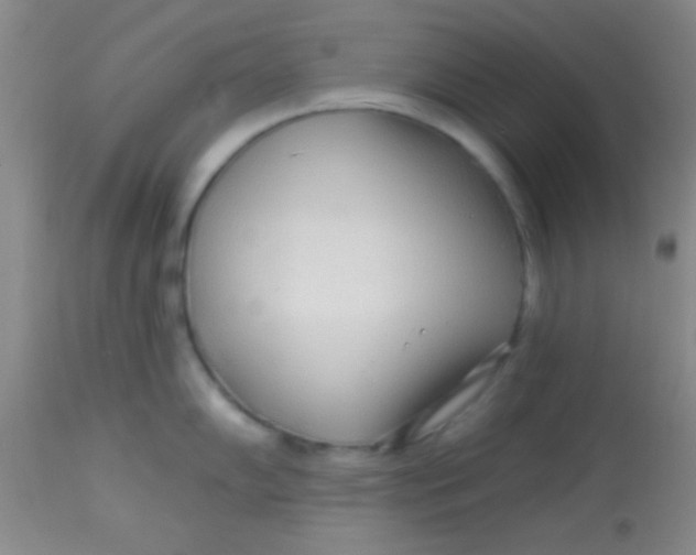 X0000112891102200909181906