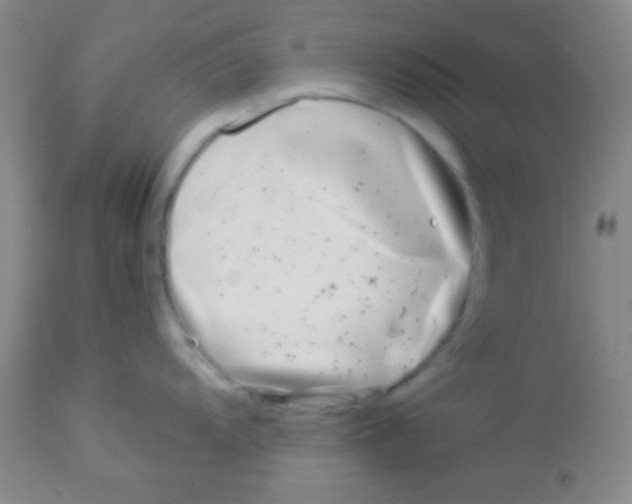 X0000112891104200909181906