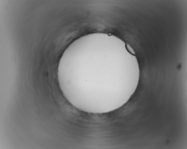 X0000112891105200909181906