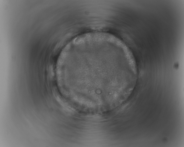 X0000112891106200909181906