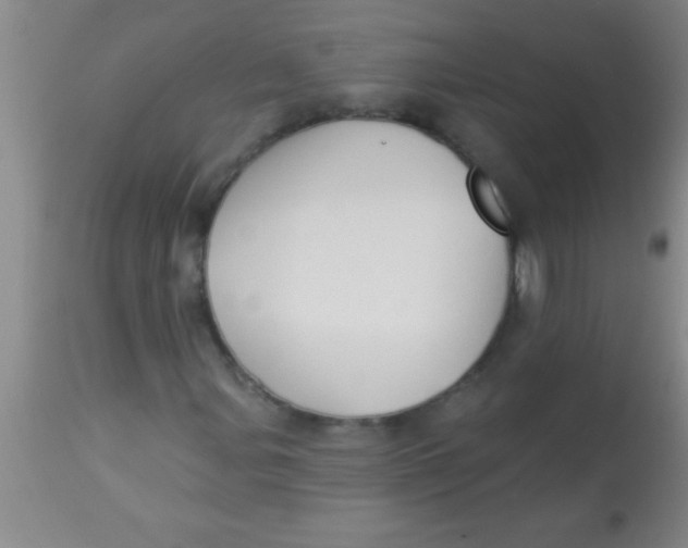 X0000112891107200909181906