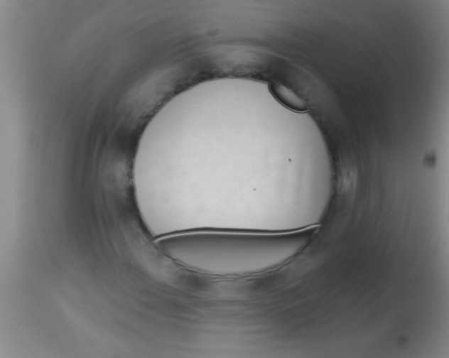 X0000112891108200909181906