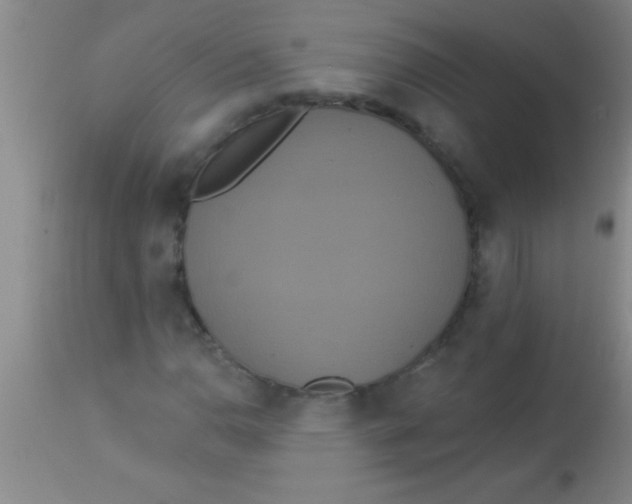 X0000112891110200909181906