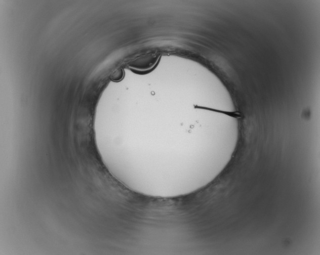 X0000112891111200909181906