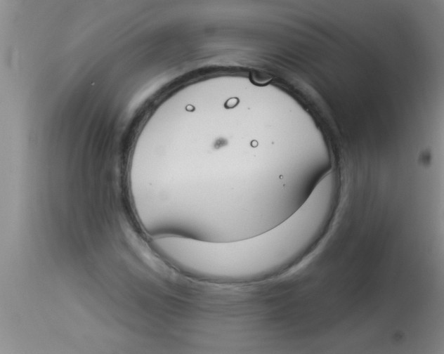 X0000112891114200909181906