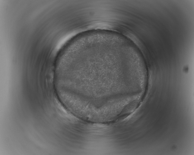 X0000112891115200909181906