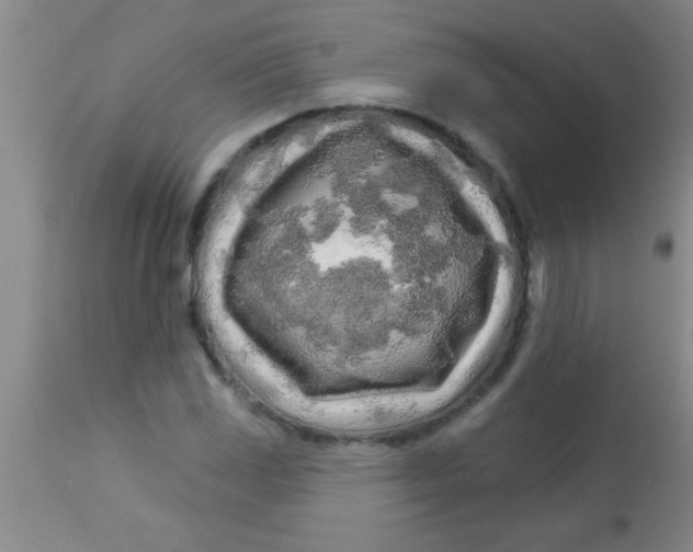 X0000112891117200909181906