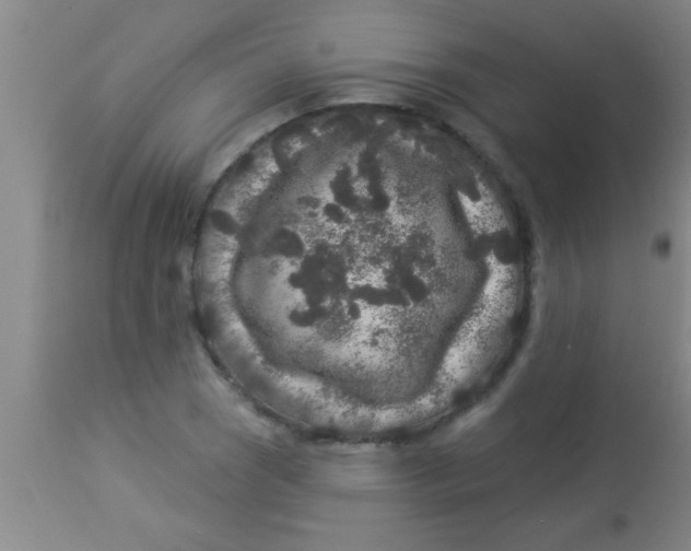 X0000112891121200909181906