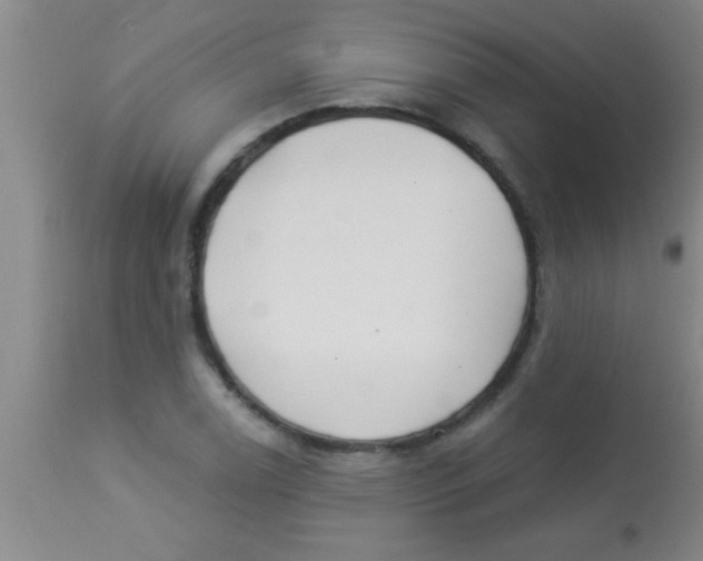 X0000112891122200909181906