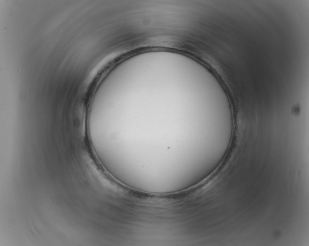 X0000112891123200909181906