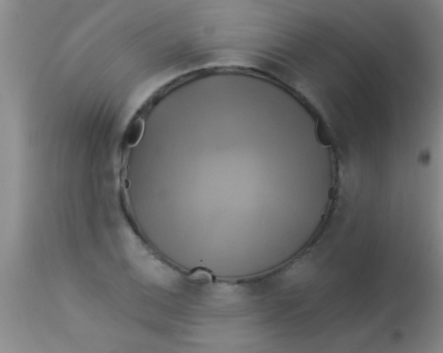 X0000112891124200909181906