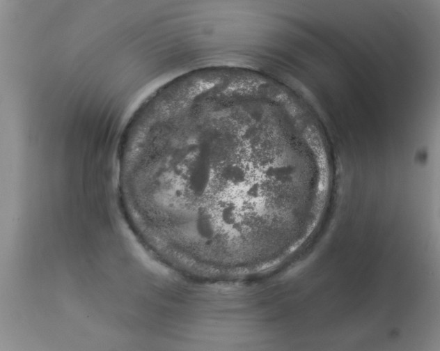 X0000112891125200909181906