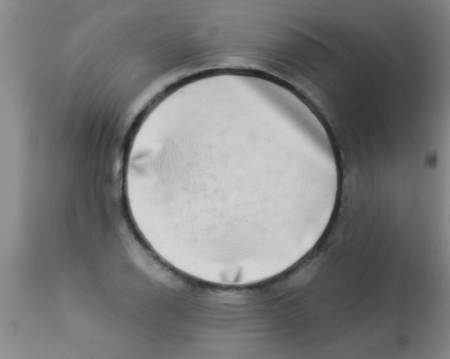 X0000112891126200909181906