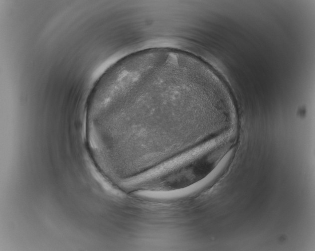 X0000112891127200909181906