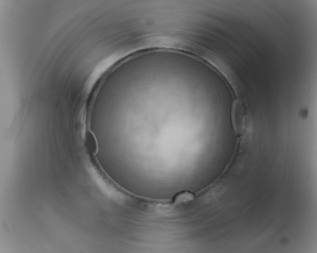 X0000112891128200909181906