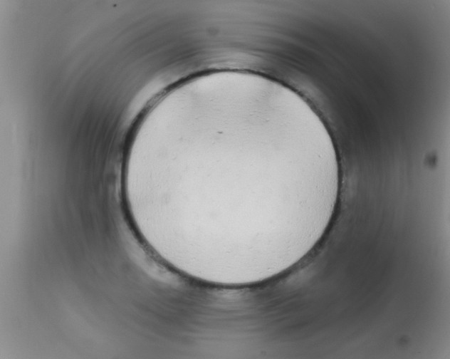 X0000112891130200909181906