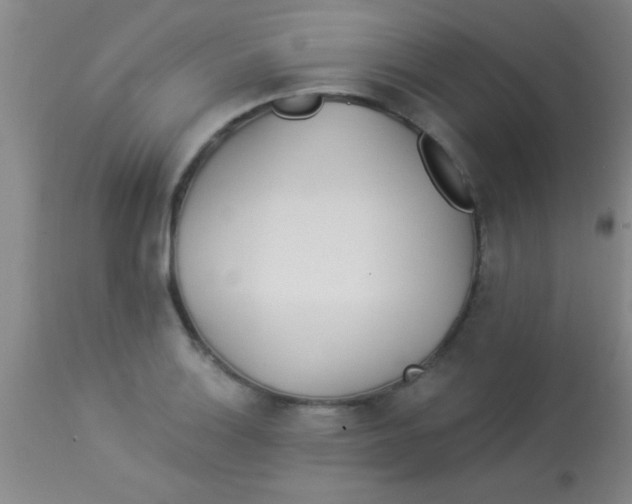 X0000112891132200909181906