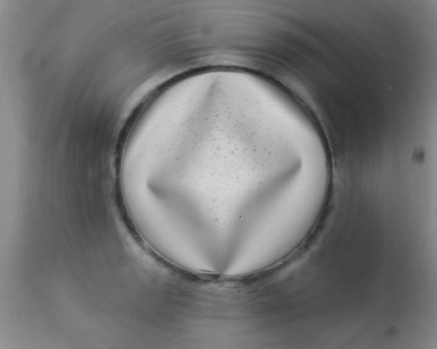 X0000112891133200909181906