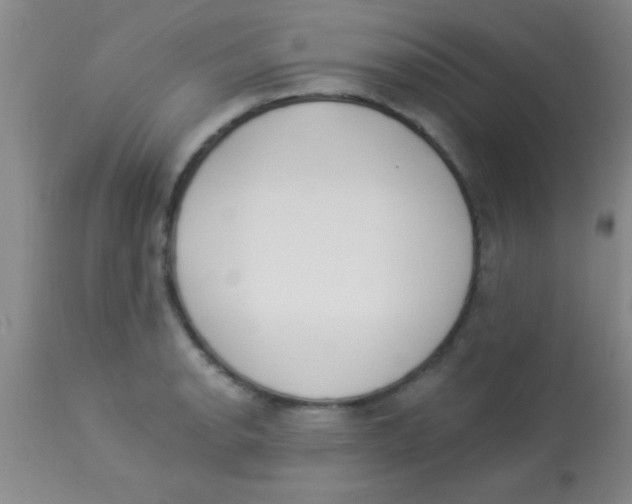 X0000112891134200909181906